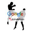 Google vs. Seznam
